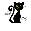 Black cat