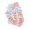 Hjerte anatomi Biologi Gave Aorta Heartbeat