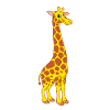 Girafe - Jolie girafe