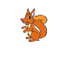 Squirrel - squirrel