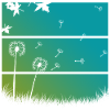 pissenlits
