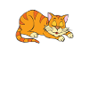 Cat - sleeping cat