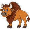 Bison buffalo