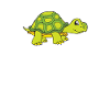 Turtle - Land turtle
