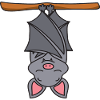 bat