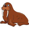 walrus