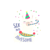6th birthday