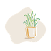 Potted plant