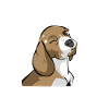 Beagle Dackel Zwinkern Geschenkidee