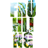 Frühling Frühlingsanfang Geschenkidee