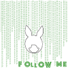 white rabbit
