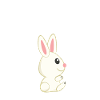 Hasen - Hase - Hasenbesitzer - Kuschelhase