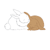 Lapins - Lapins - Lapins - Amour