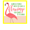 Summer flamingo