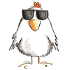 Chicken with cool sunglasses - rooster - goose