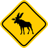 Caribou