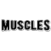 Muscles sportifs