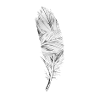 Black and White Feather