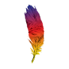 Bunte Pfauenfeder