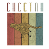 Cheetah wilderness animal big cat