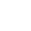 BEST FRIENDS SHIRT