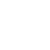 BEST FRIENDS SHIRT