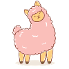Pink sheep