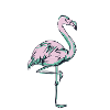Cool flamingo