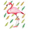 Flamingo with feathers