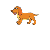 dachshund