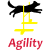 Agility 1