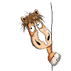 Neugieriges Pferd