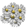 Bunch of flowers