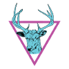 Deer - deer antler