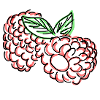 raspberries