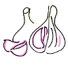 garlic