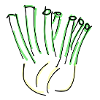 fennel