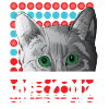 Nerd cat meow