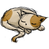 Sleeping cat stroke drawing