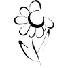 Blumen Design