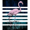Pink flamingo