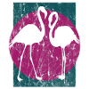 Flamingo couple