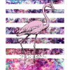 Pink flamingo