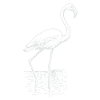 Flamingo tekening