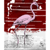 Pink flamingo