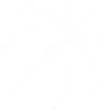 Lignes de basketball