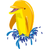 Dolphin yellow splashes