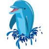 Laughing dolphin blue