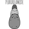 Katze Katzen