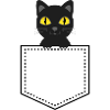 Pocket animal black cat
